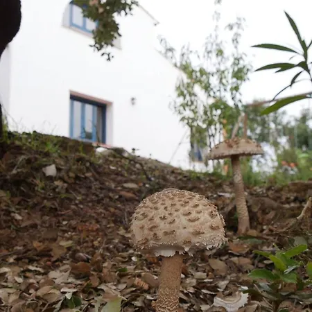La Tejonera