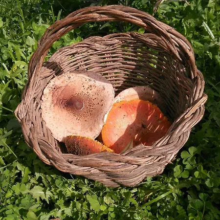 La Tejonera Шале *